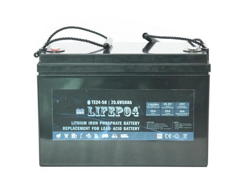 lítio portátil BMS For Replacement Of da bateria Lifepo4 de 24V 42AH acidificado ao chumbo